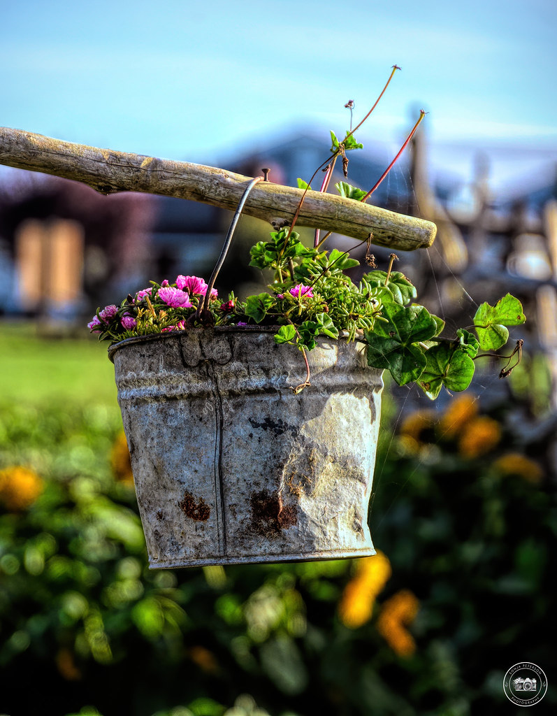 Westham Island Herb Farm Est. 1994 4960 Kirkland Road, Del… Flickr