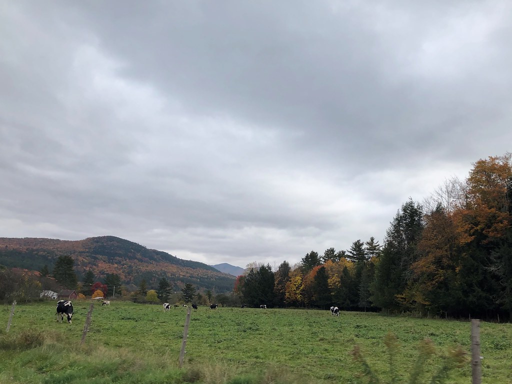 Moretown, VT Field Austin Dodge Flickr