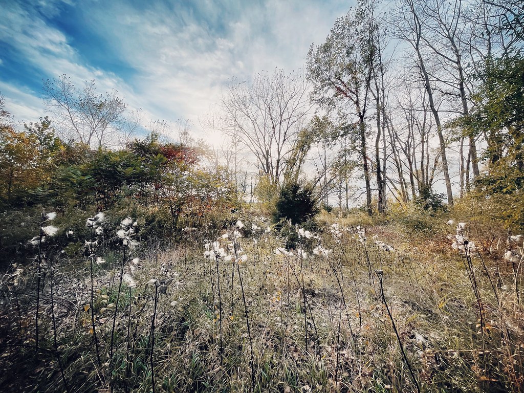 Montezuma, New York Montezuma Wildlife Refuge THE ENIGMATIC