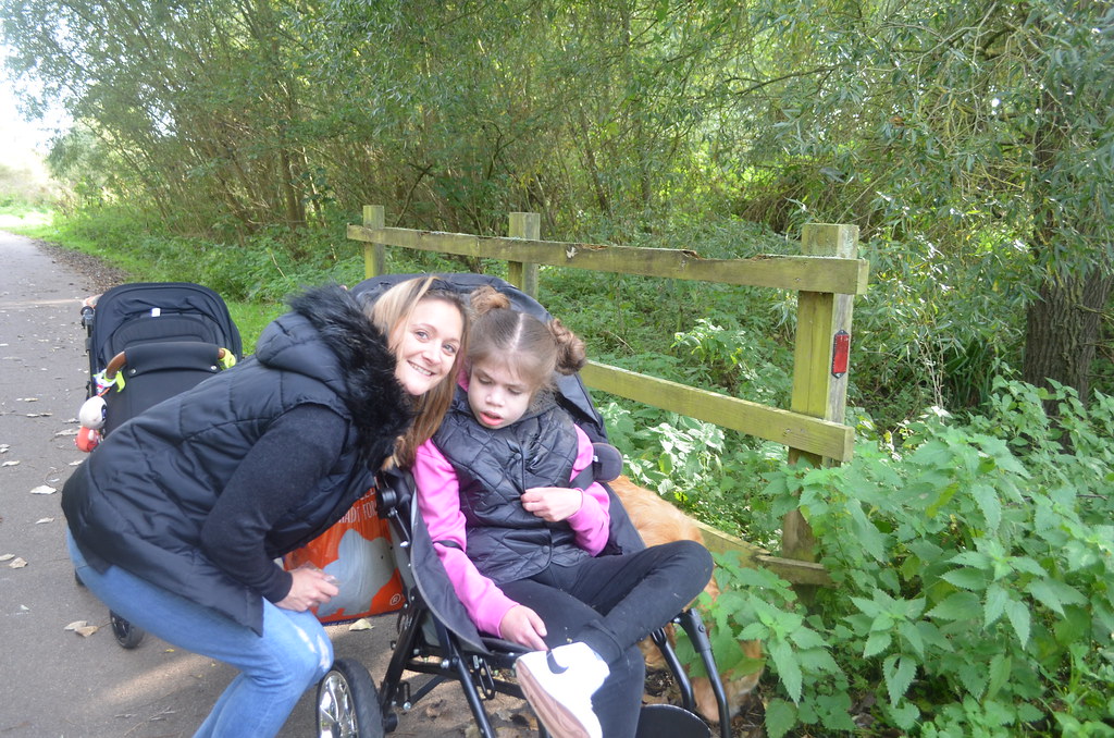 DSC_0017 1 Rosemary Johnson Flickr