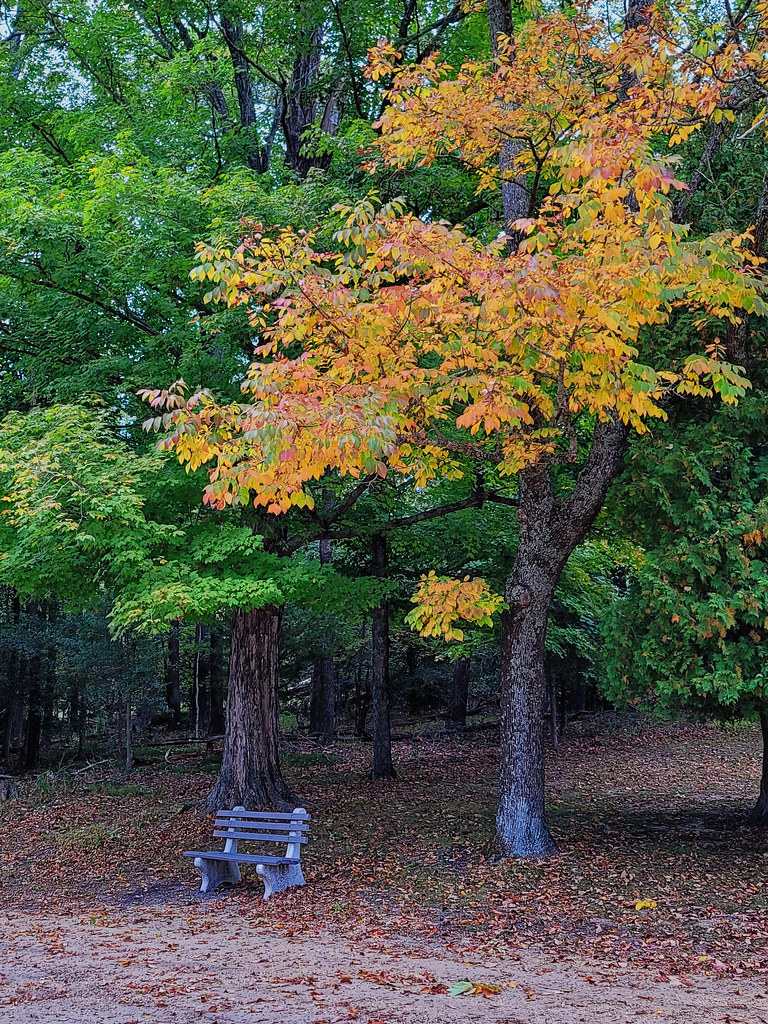 Batsto Village Batsto Village, Hammonton, NJ Vlad Bezden Flickr