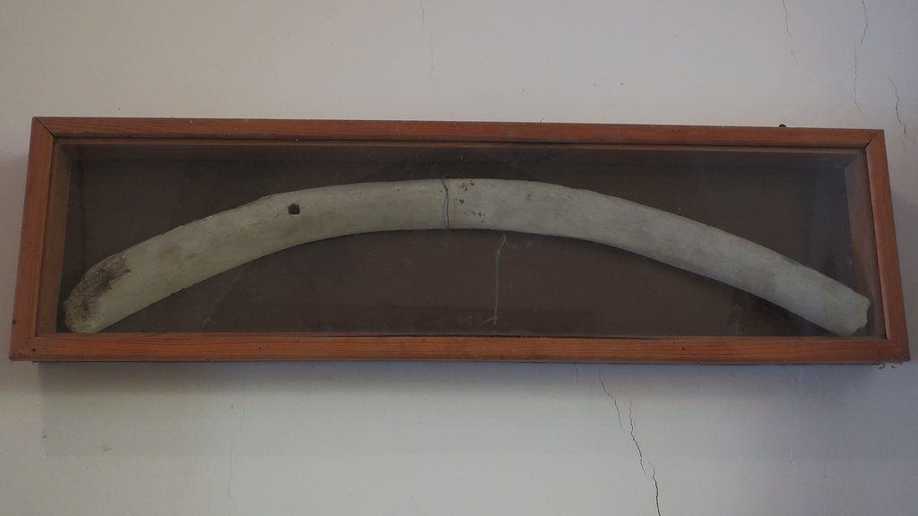 IMG_3299 La Baleine (Manche) Thomas The Baguette Flickr