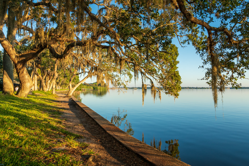 Philippe Park Philippe Park, Safety Harbor, FL Michal Junasek Flickr