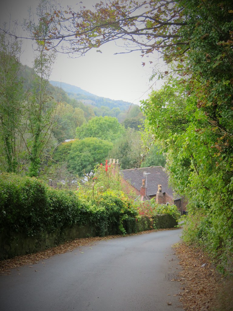 Lincoln Hill. Descending into Ironbridge after our walk fr… Flickr