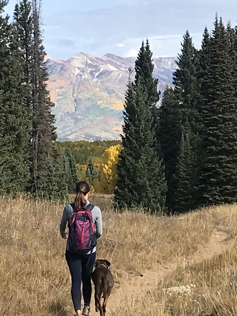 Beckwith Pass trail with Andrea and Oliver michael burkley Flickr
