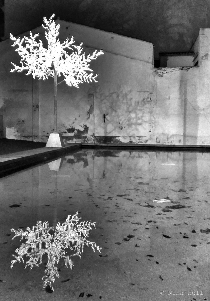 The almond tree The iluminated artificial almond tree is s… Flickr