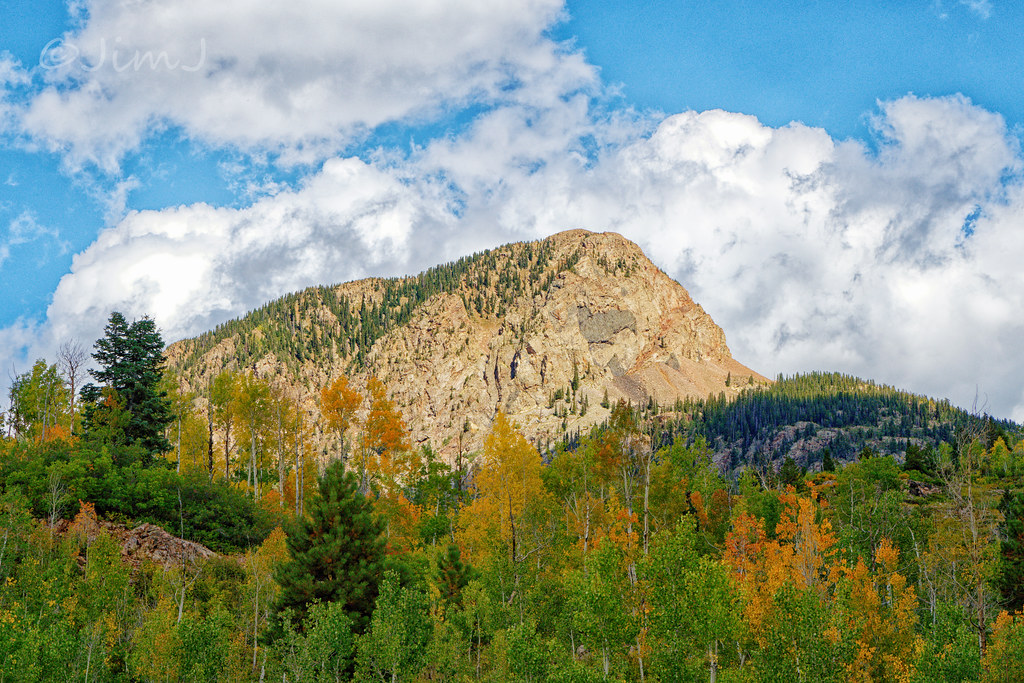 Aspens Along Old Lime Creek Road The name of the mountain … Flickr
