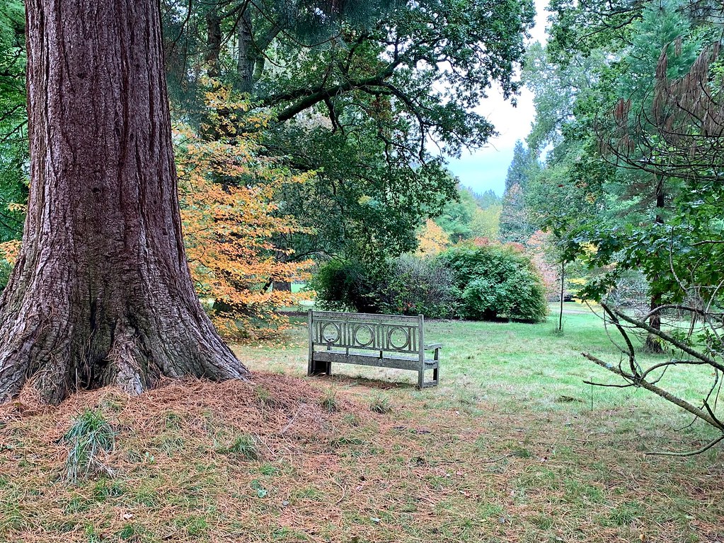 Sheffield Park & Eastbourne Flickr