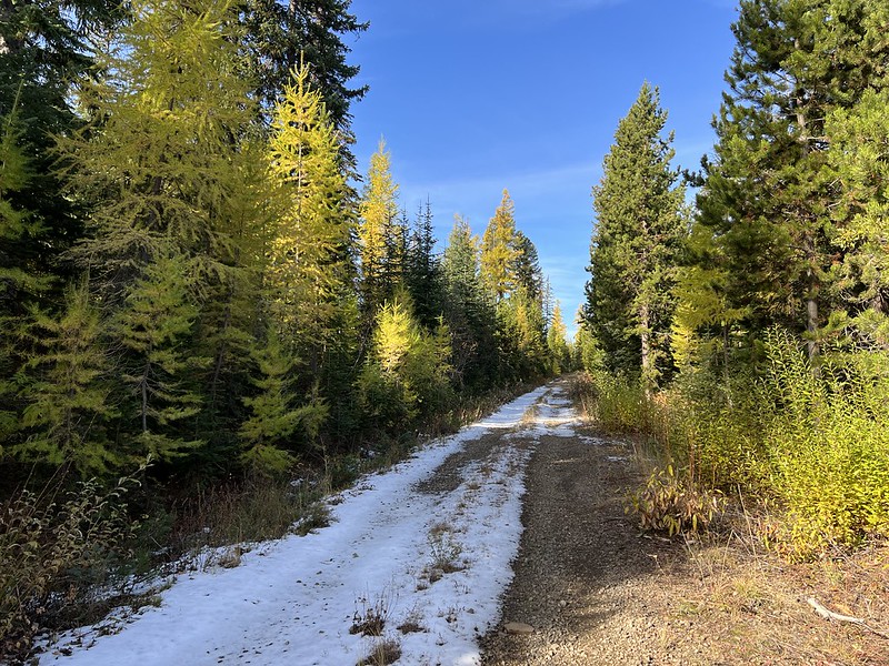 Lookout Mountain Every Lookout in Oregon