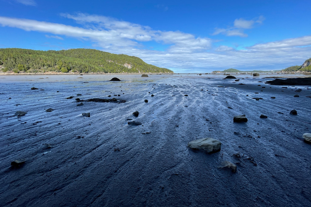 Sentier de l'Anseauxbouleaux Parc national du Bic, Québe… Flickr