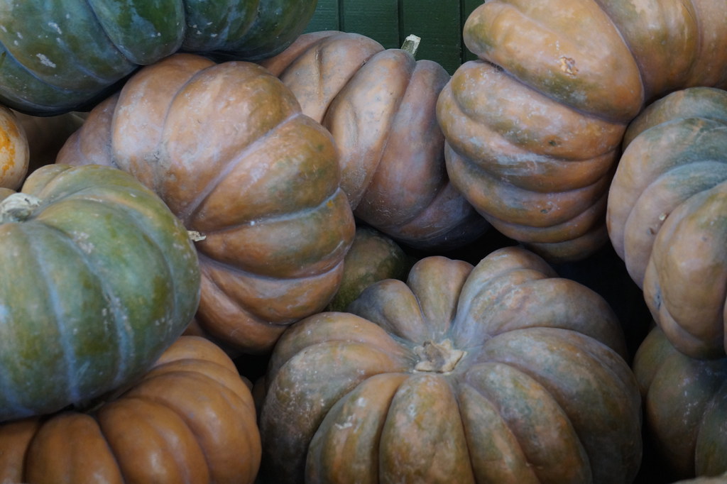 Spicknall's Farm Market Beltsville, MD vwiest Flickr