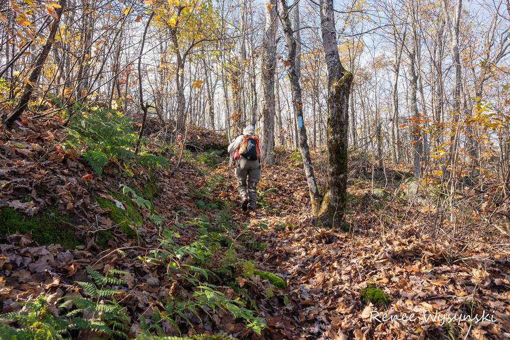 McIntyre Lake & Lookout Oct 20 202130.jpg Renee Wysynski Flickr