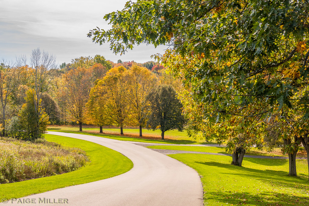 Colden, NY Sprague Brook County Park Paige Miller Flickr