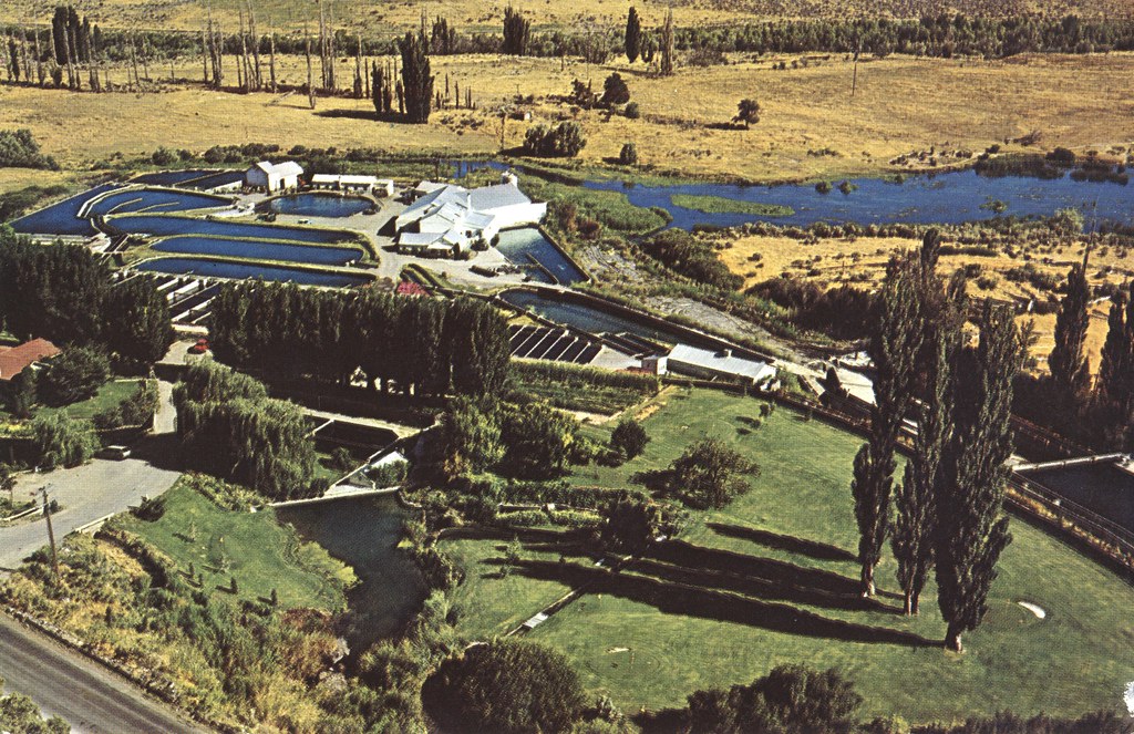 Snake River Trout Ranch Buhl, Idaho Largest Trout Ranch … Flickr