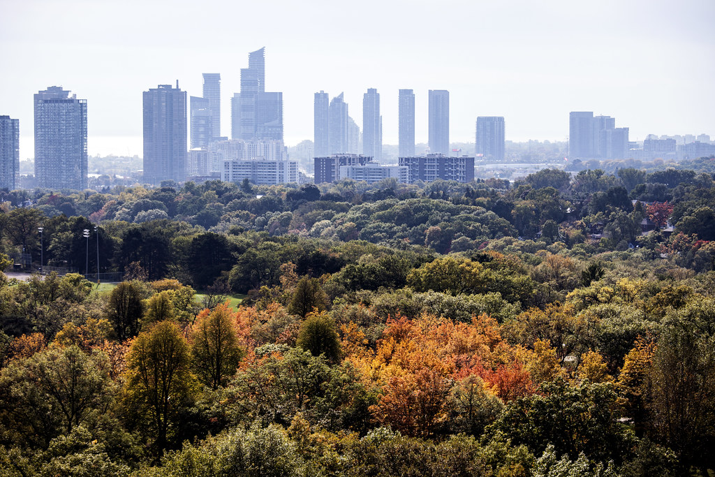 High Park, Swansea, Etobicoke condos Jeremy Gilbert Flickr