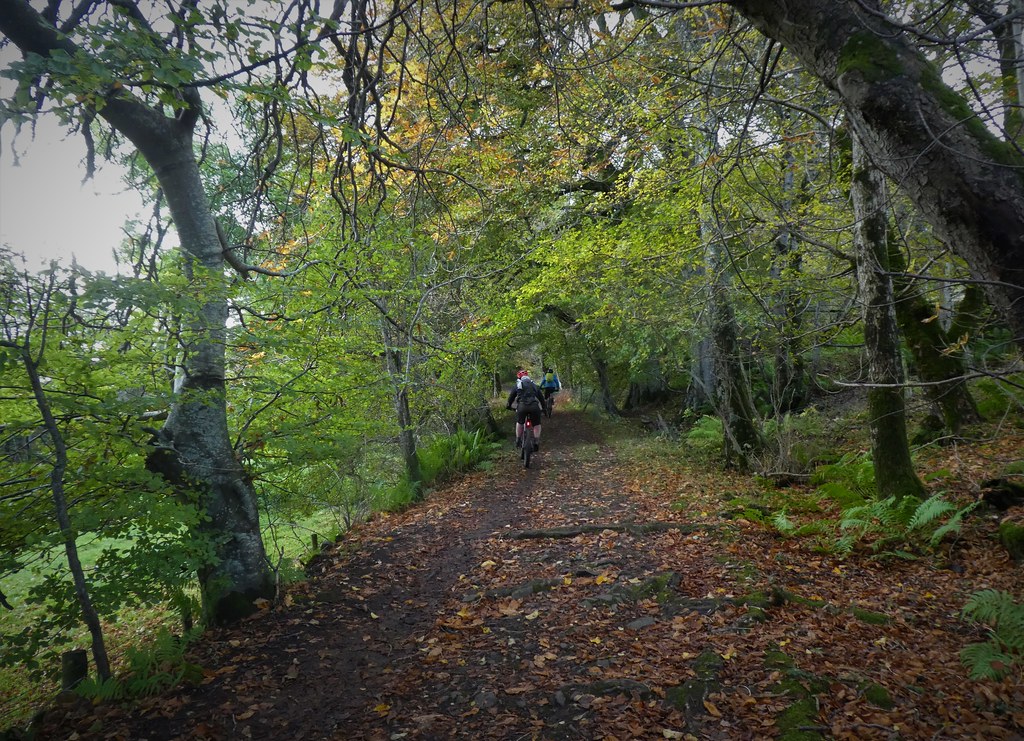 Laggan track, Crieff Brian Cairns Flickr