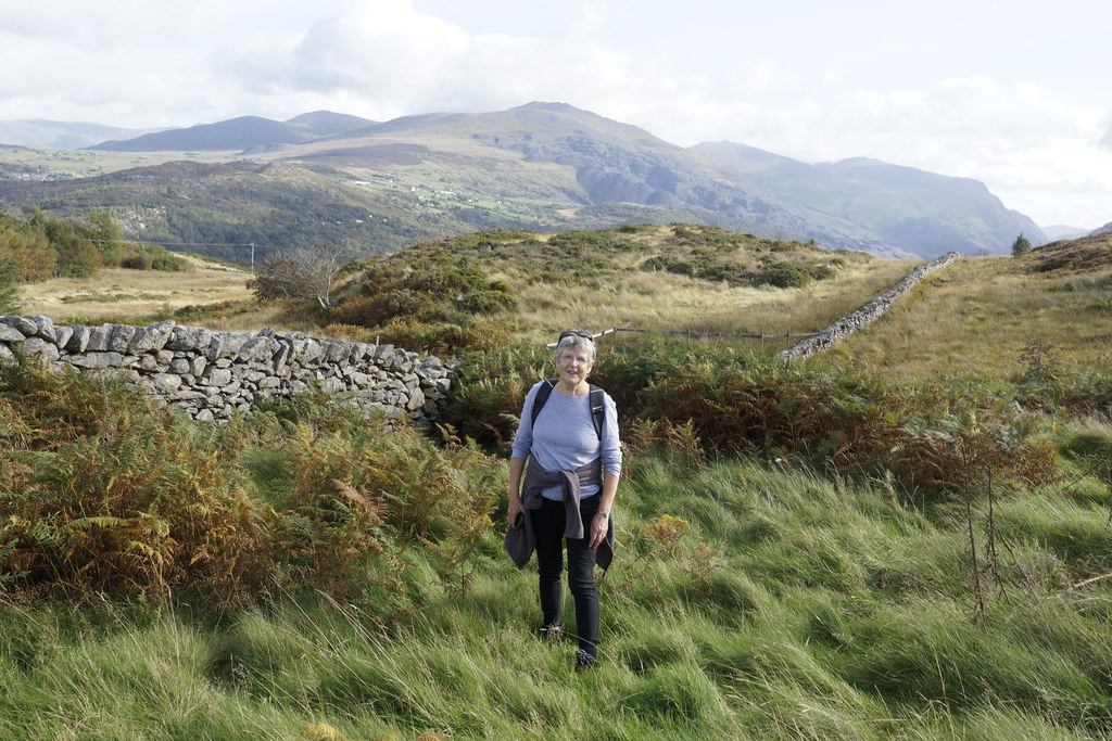 Cefn Du and Bryn Bras Castle 3 Geoff Snowdon Flickr