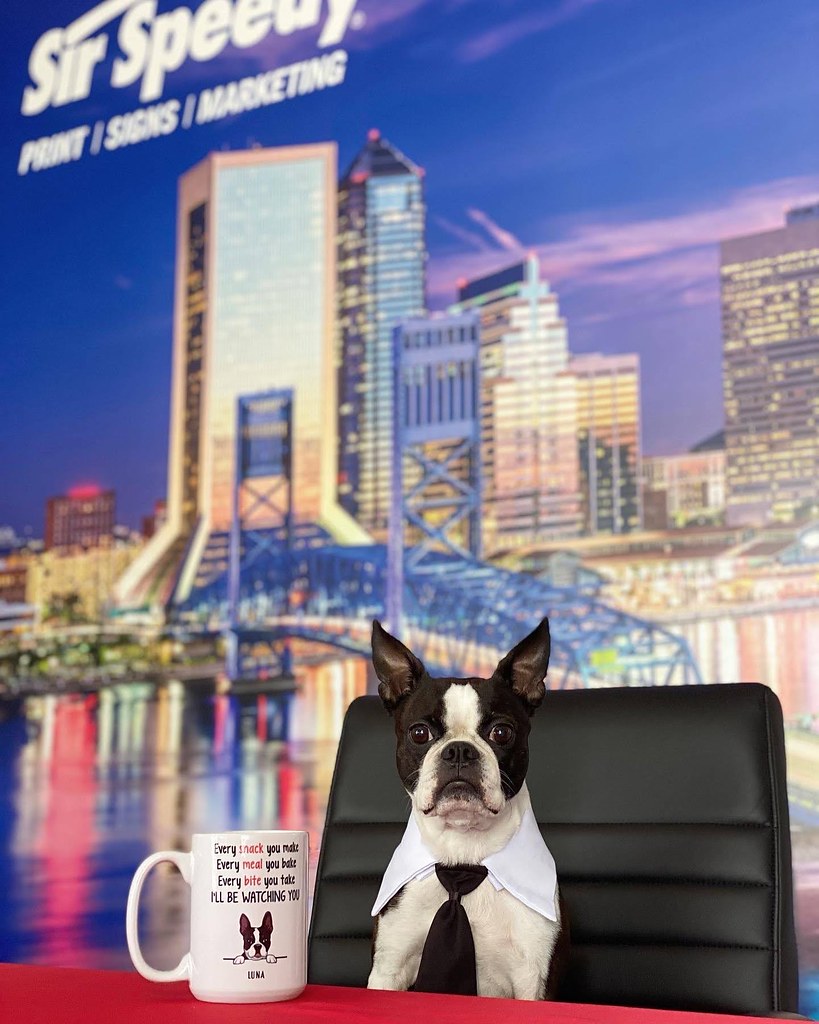 Promotional Mug Sir Speedy Jacksonville Flickr