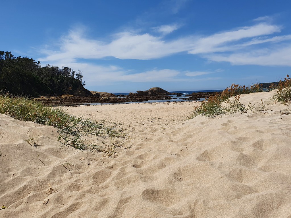 The welltrodden path! Mossy Point; South Coast, NSW. Flickr