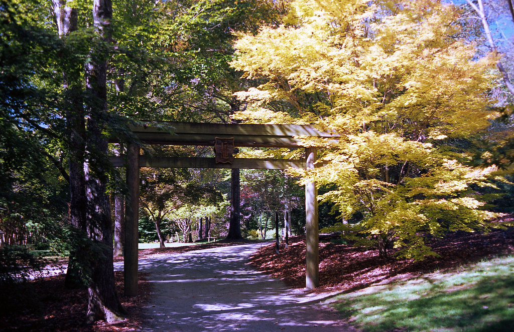 Gibbs Garden Ball Ground, GA Ricoh KR10 Ricoh XR Rikenon … Flickr