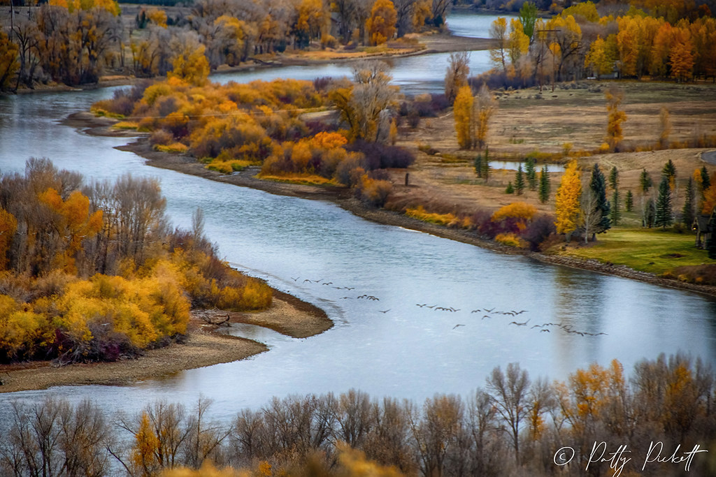 Swan Valley area Idaho Pattysphotos Flickr