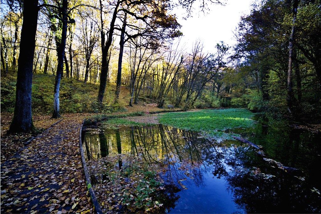 Aube river source Fine Art Photograph Flickr