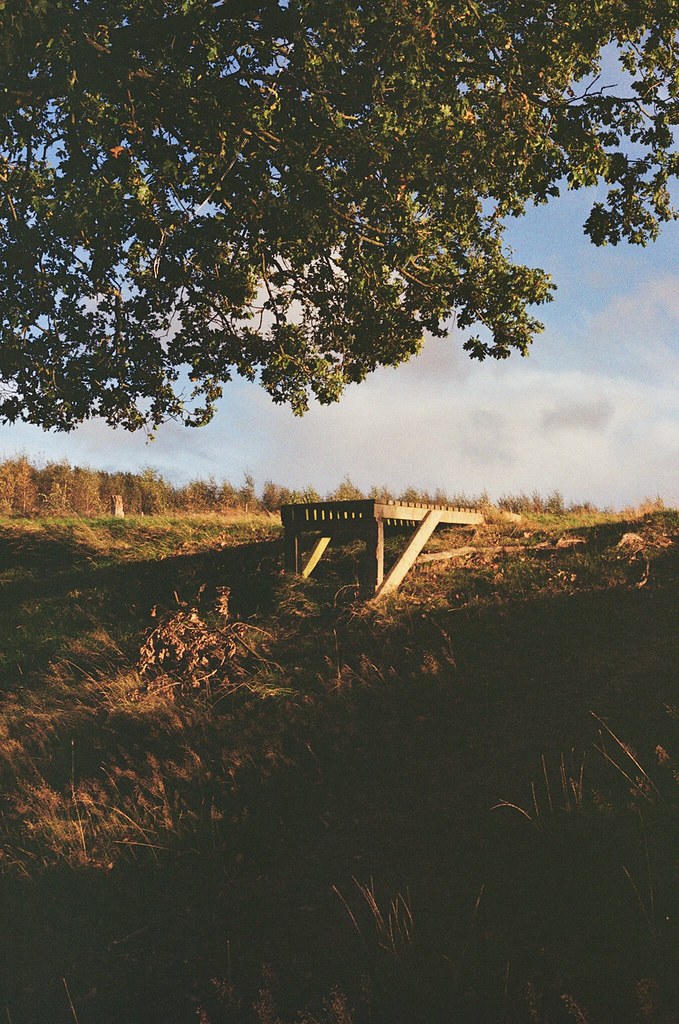 Colebrook Park, Tunbridge Wells Taken on Kodak Gold 200. G… Flickr