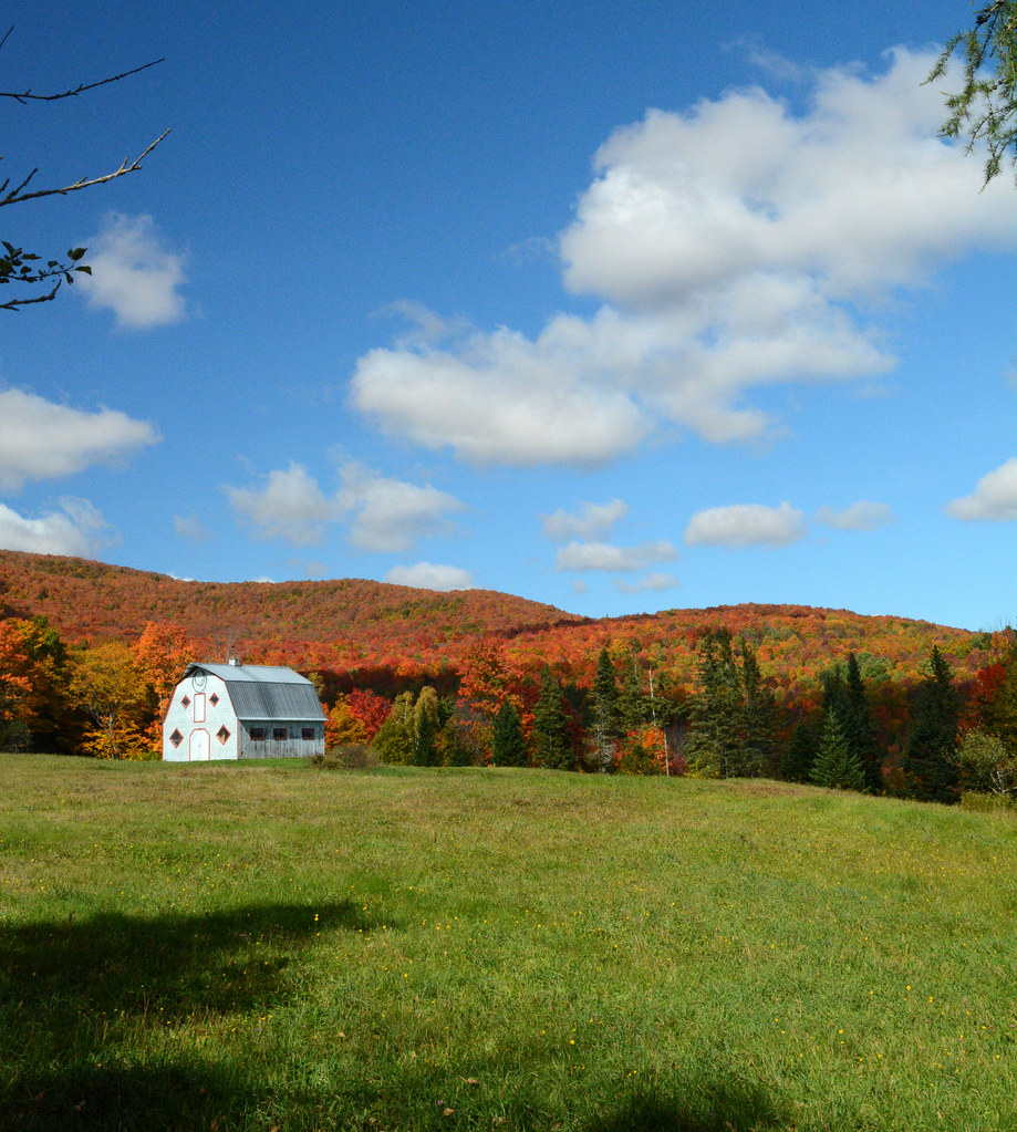 Nikon Stannard VT 10 (5) Don Horning Flickr