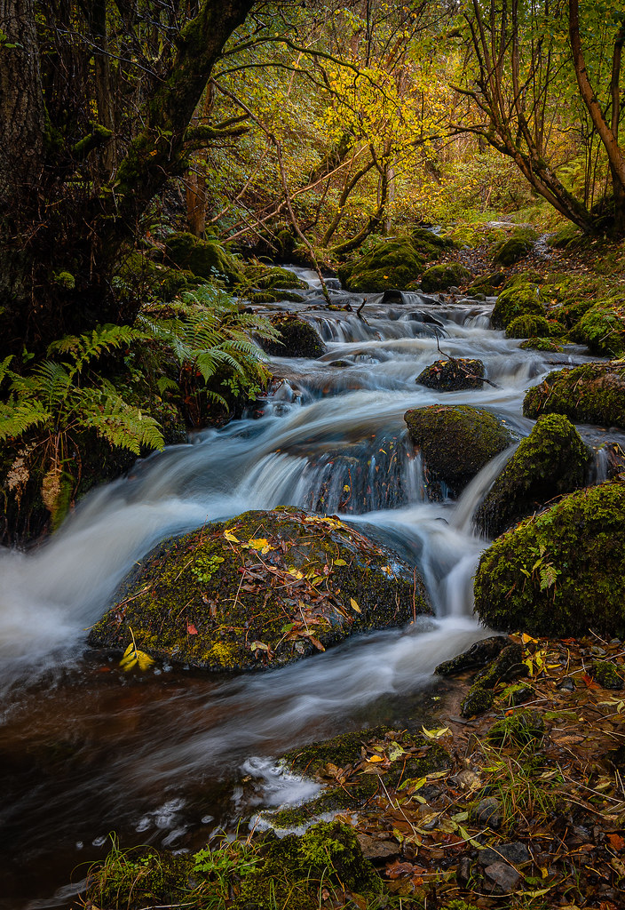 Autumn at Nant Y Pandy Glyndyfrdwy, Llangollen Flickr