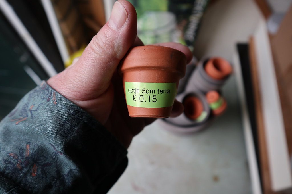 IMG_1215 Cheap terracotta pots from the garden center... Jerry