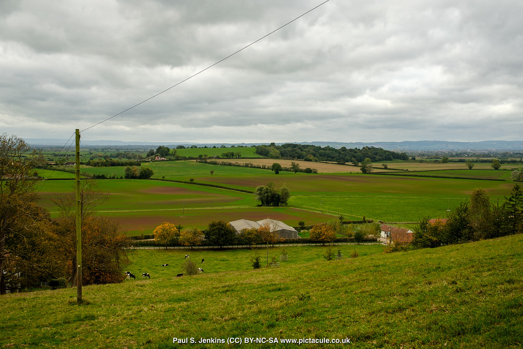 DSCF0719 Chilton Polden Paul Jenkins Flickr