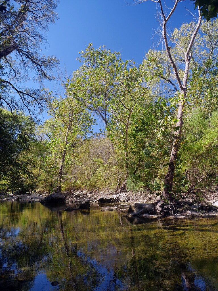 Barton Creek, Snapshots October 2021 Flickr