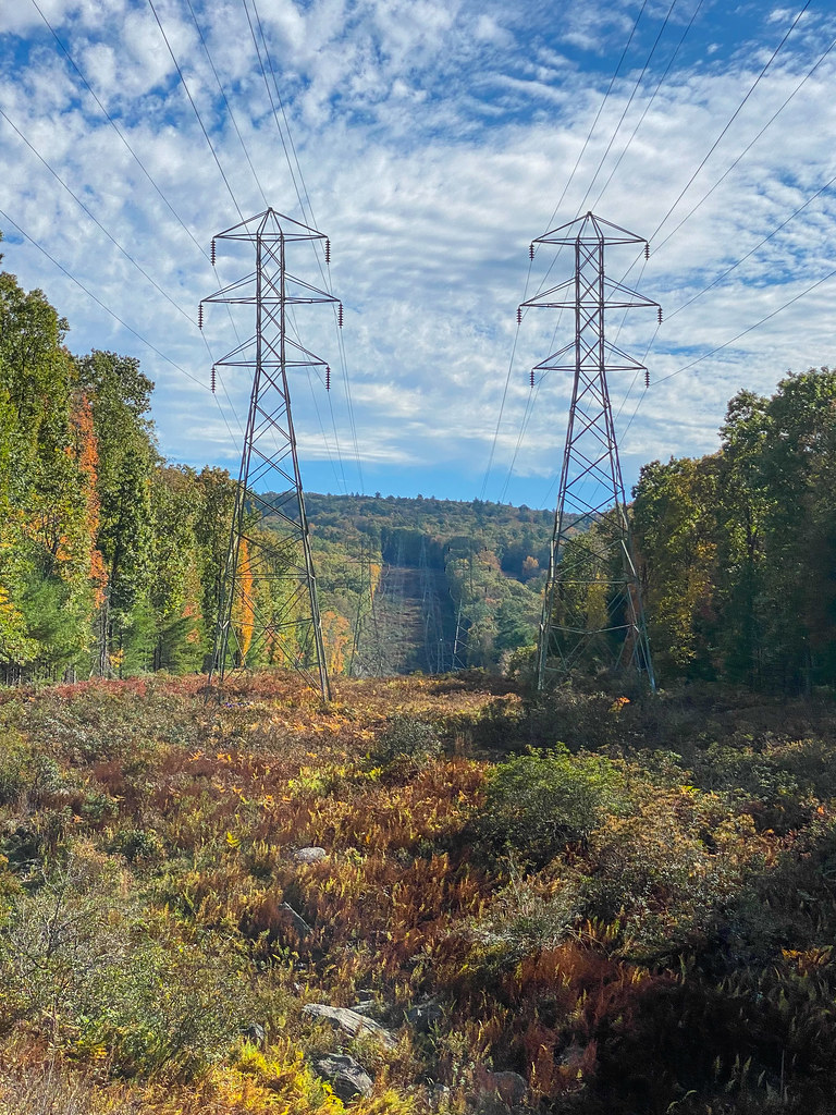 Fall Powerlines Near the Rio Reservoir in Forestburgh, NY.… John