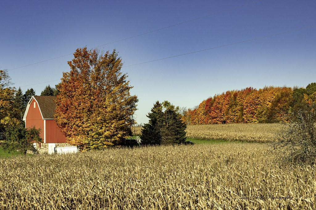 Fall Colors 2021 Flickr