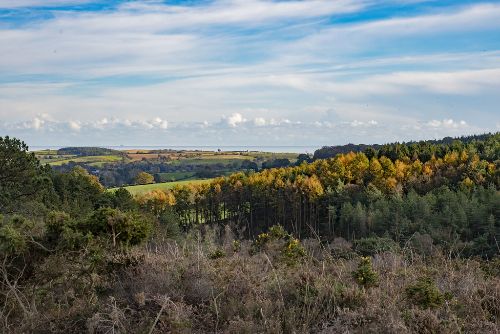 Woodbury Common Devon Col B Flickr