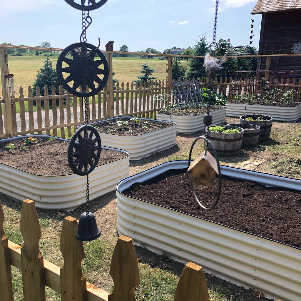 Metal Vs. Wood Raised Garden Beds Which Is Better? Flickr