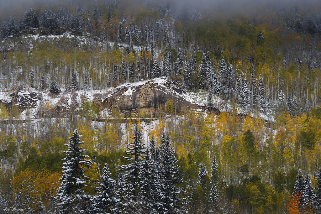 Fall colors and snow (explored 1142021) Fall colors are … Flickr