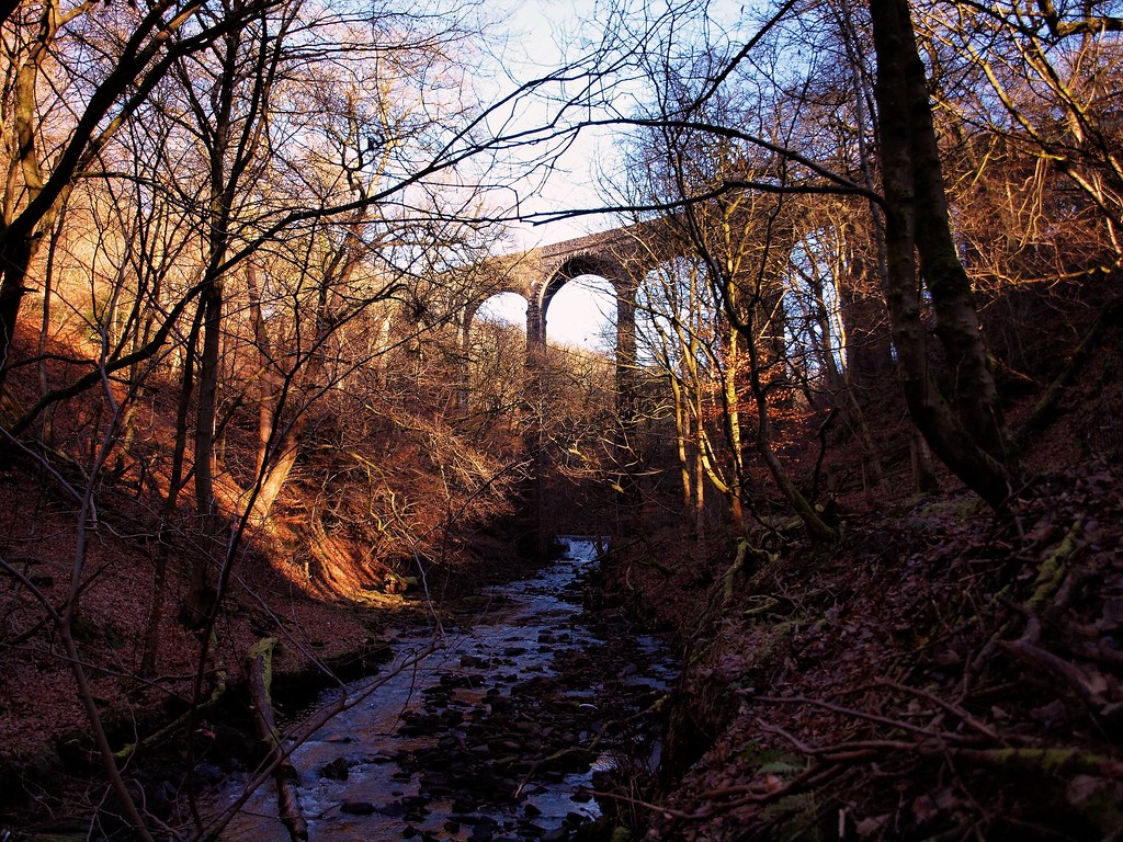 HEALEY DELL VIADUCT, ROCHDALE, LANCASHIRE, UK. OLYMPUS DIG… Flickr