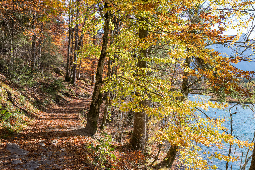 Autumn Gotan Da Flickr