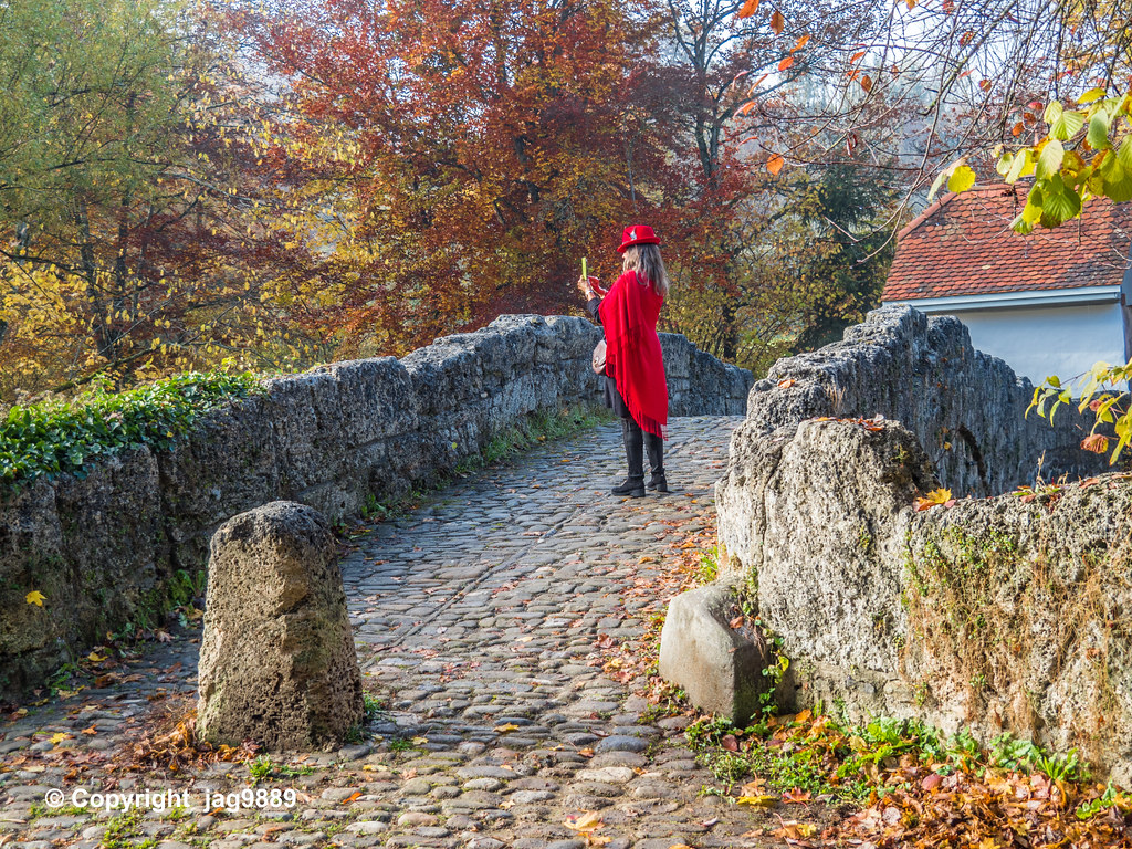 GLS550 SainteApolline Bridge over the Glâne River, Villar… Flickr