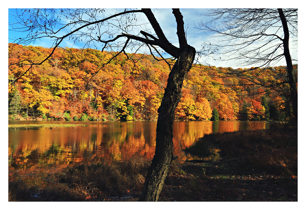 Laurel Hill Lake Laurel Hill Lake is a 63 acre impoundment… Flickr