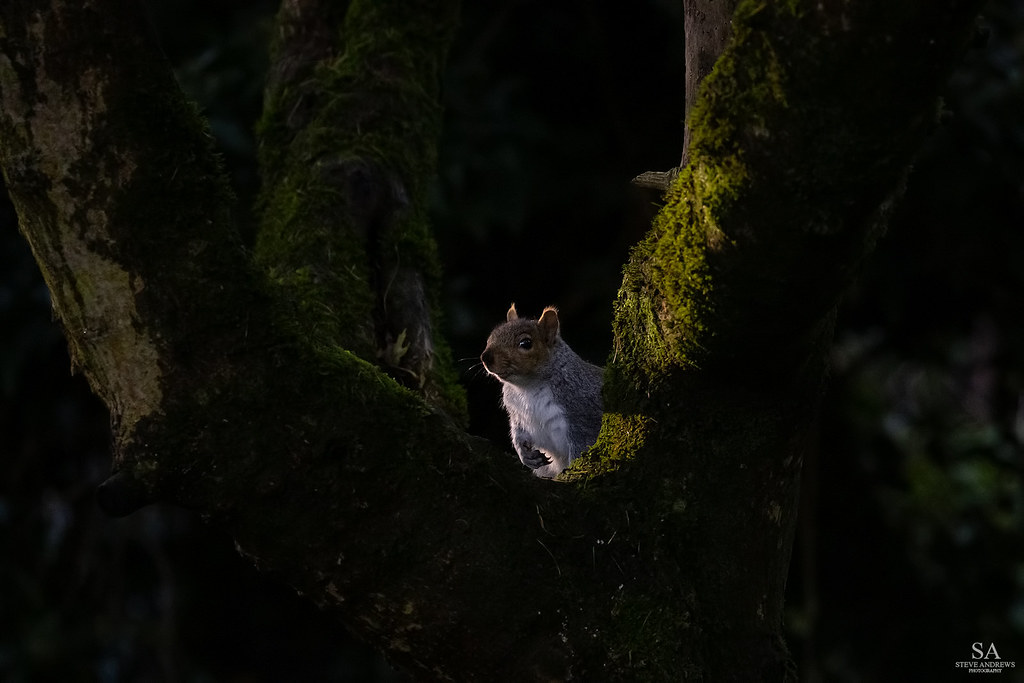Sun Worship Drew's Pond, Devizes. Steve Andrews Flickr