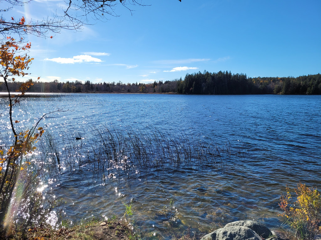 Seal Cove Pond, Acadia National Park Acadia National Park John