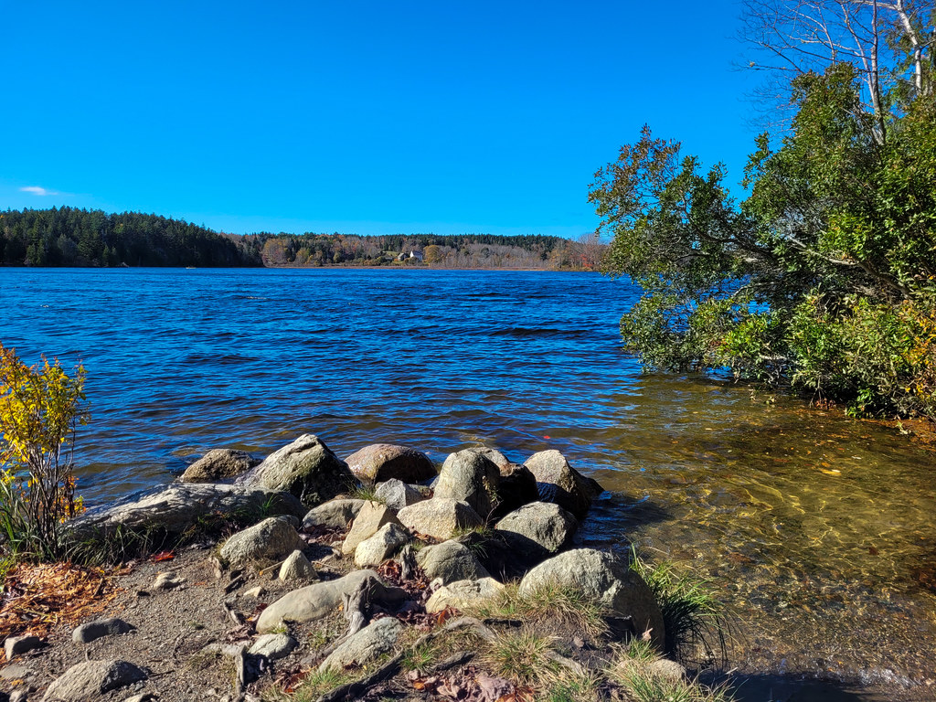 Seal Cove Pond, Acadia National Park Acadia National Park John