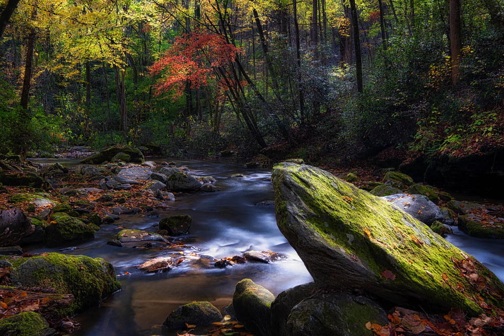 Pacolet River Woody Hoyle Flickr