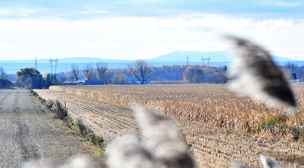 Ste Étienne de Beauharnois , Qc Monique Maynard Flickr