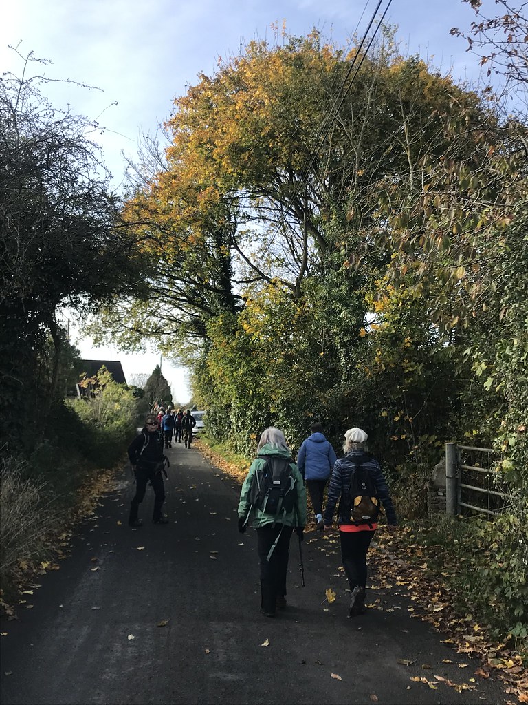 Corsham walk beautiful weather November 7th 2021 Highworth and Swindon Walking Club Flickr