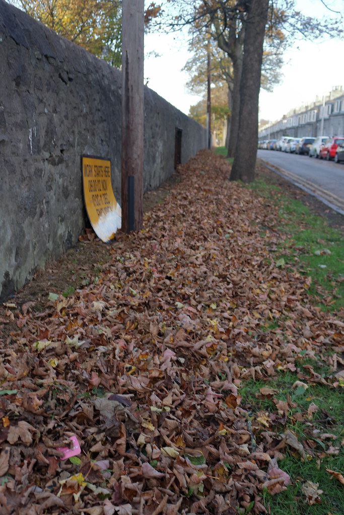 Autumn Leaves,Loanhead Terrace,Aberdeen_nov 21_17714 Flickr