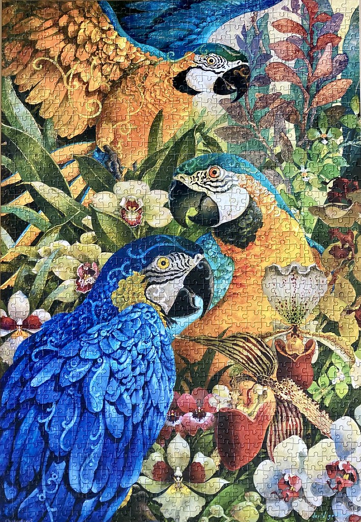 Castorland ‘Amazon’ by David Galchutt, 1000pc. Completed N… Flickr