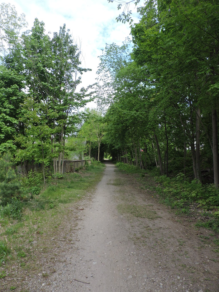 Goffstown, NH Rail Trail Austin Dodge Flickr